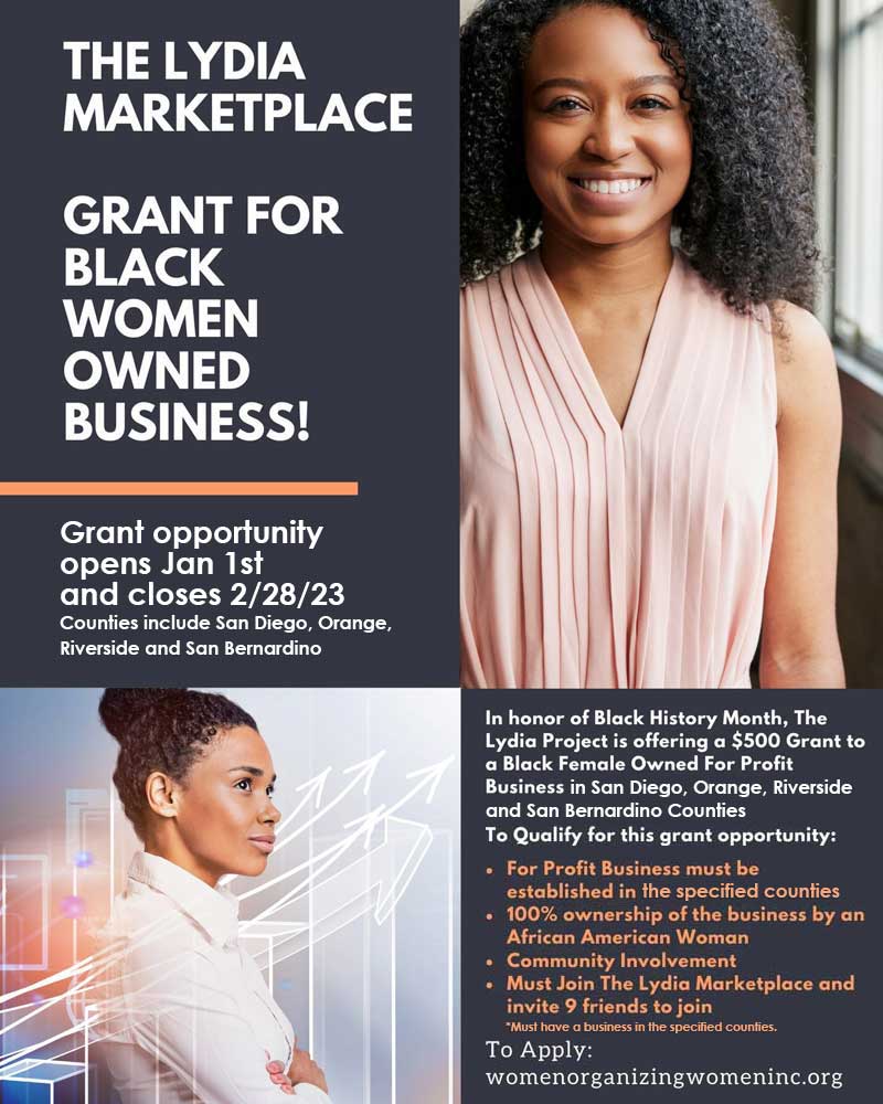 Micro Business Grant for Minority Women Women Organizing Women Inc